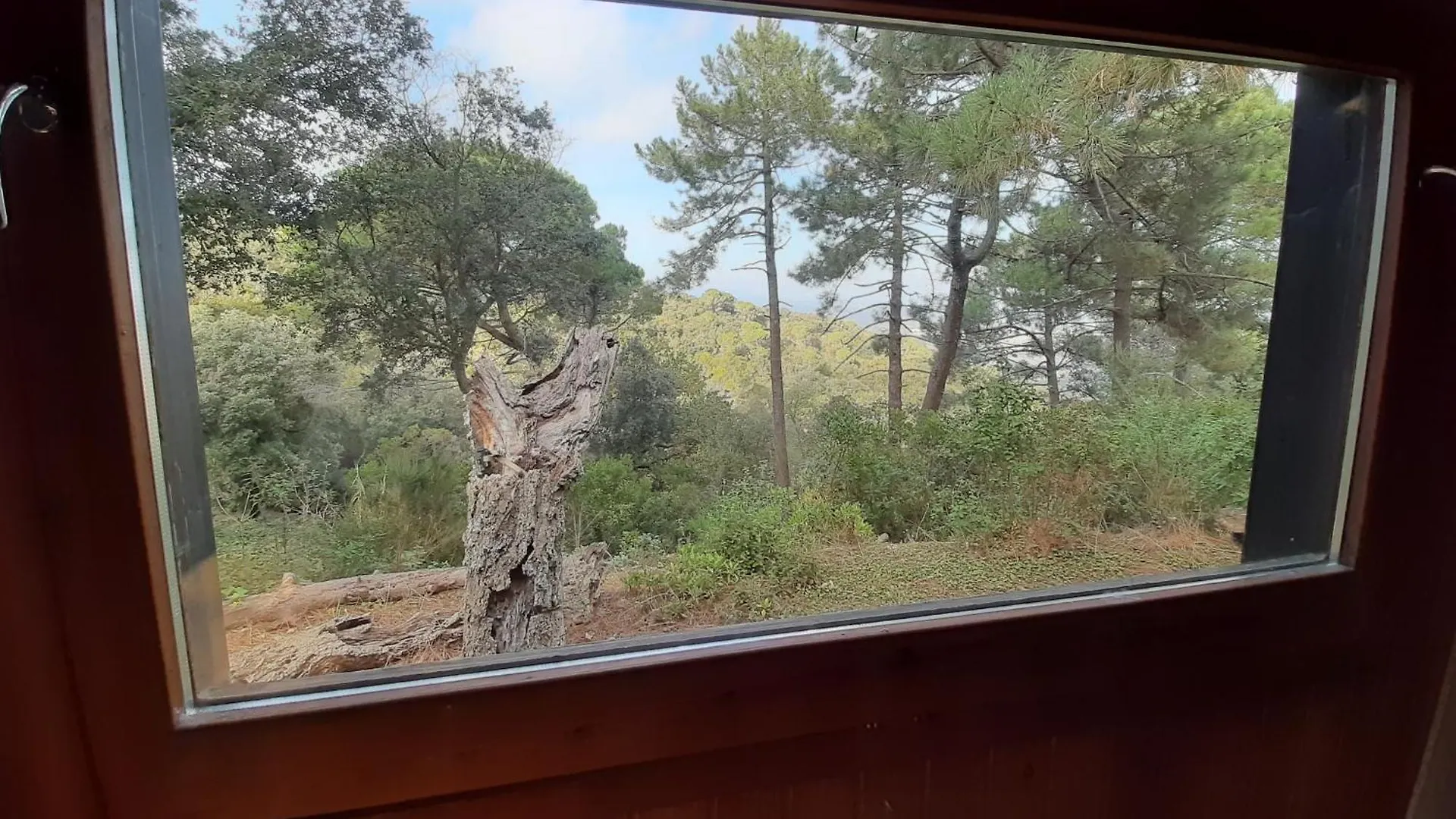 Semesterbostad Casa Eco En Palafolls Cerca De La Costa Brava Villa