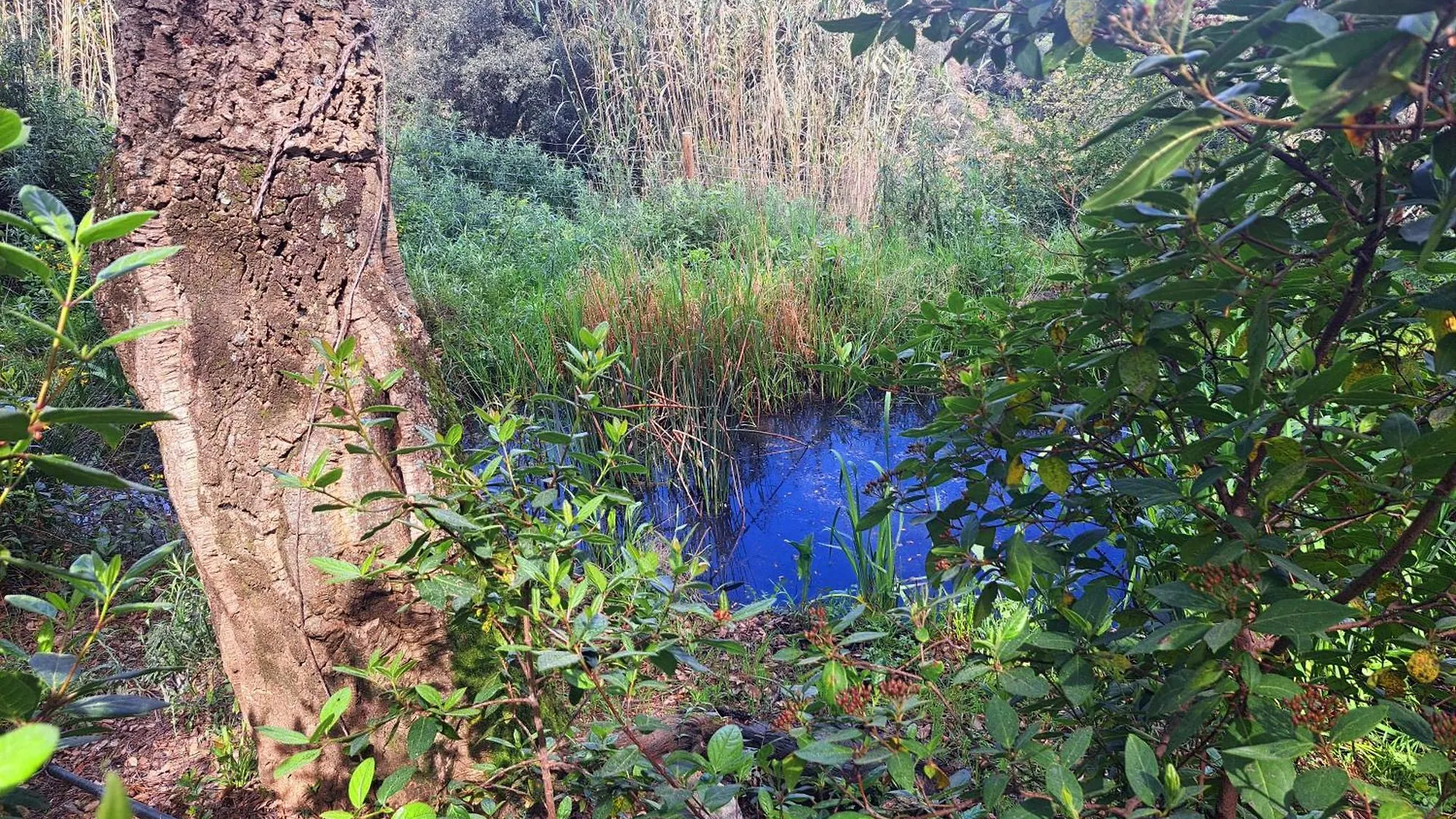Semesterbostad Casa Eco En Palafolls Cerca De La Costa Brava Villa Spanien