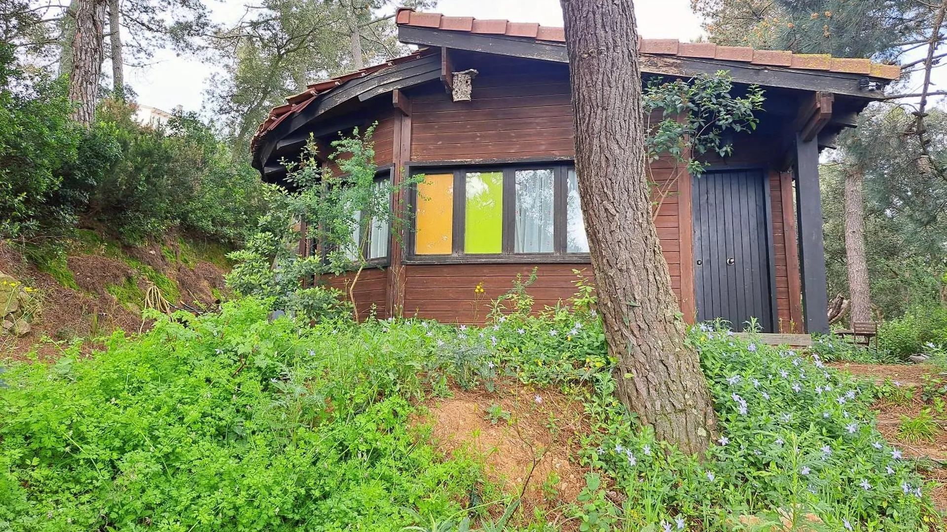 Casa Eco En Palafolls Cerca De La Costa Brava Villa