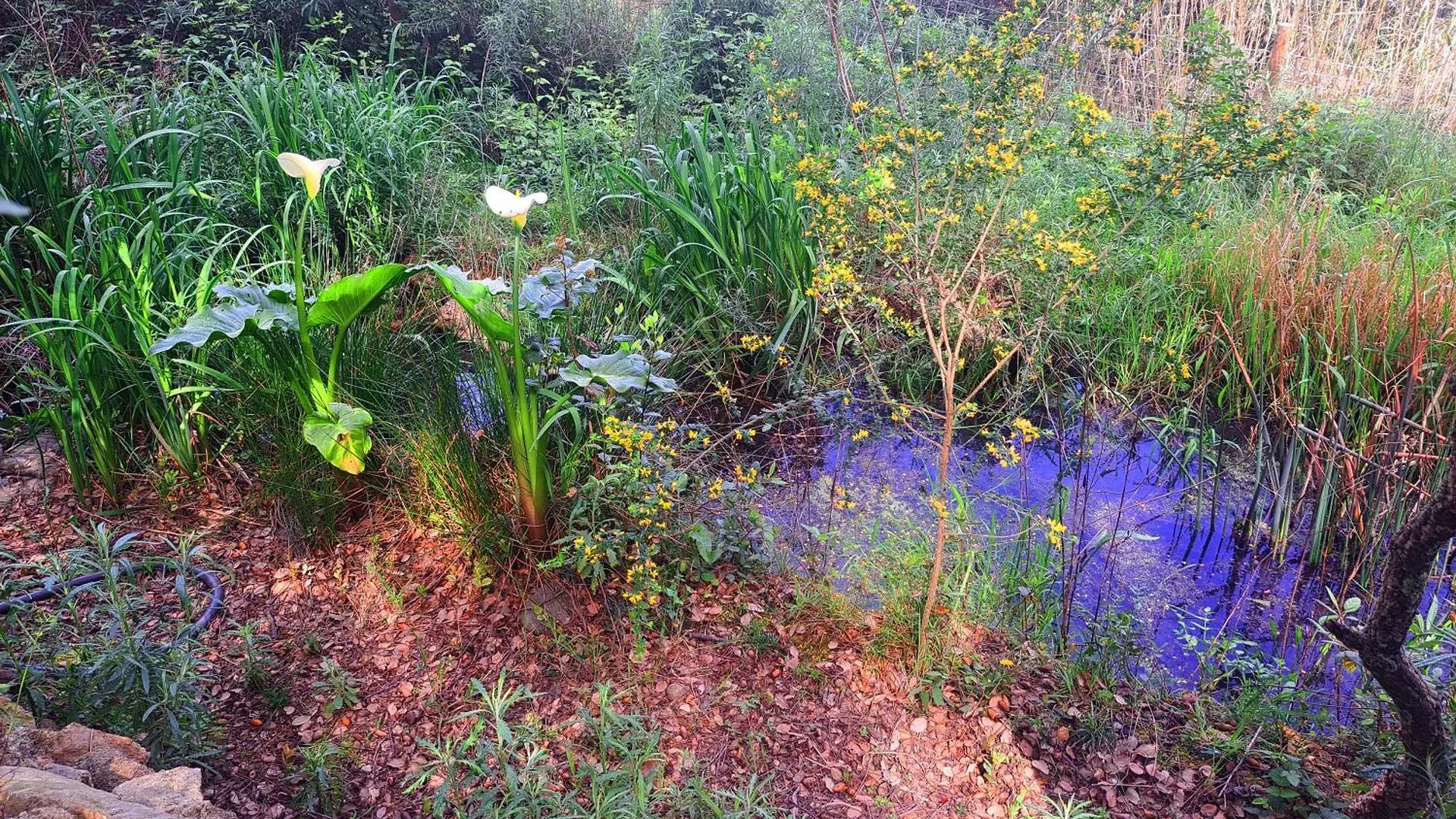 Casa Eco En Palafolls Cerca De La Costa Brava Villa Semesterbostad