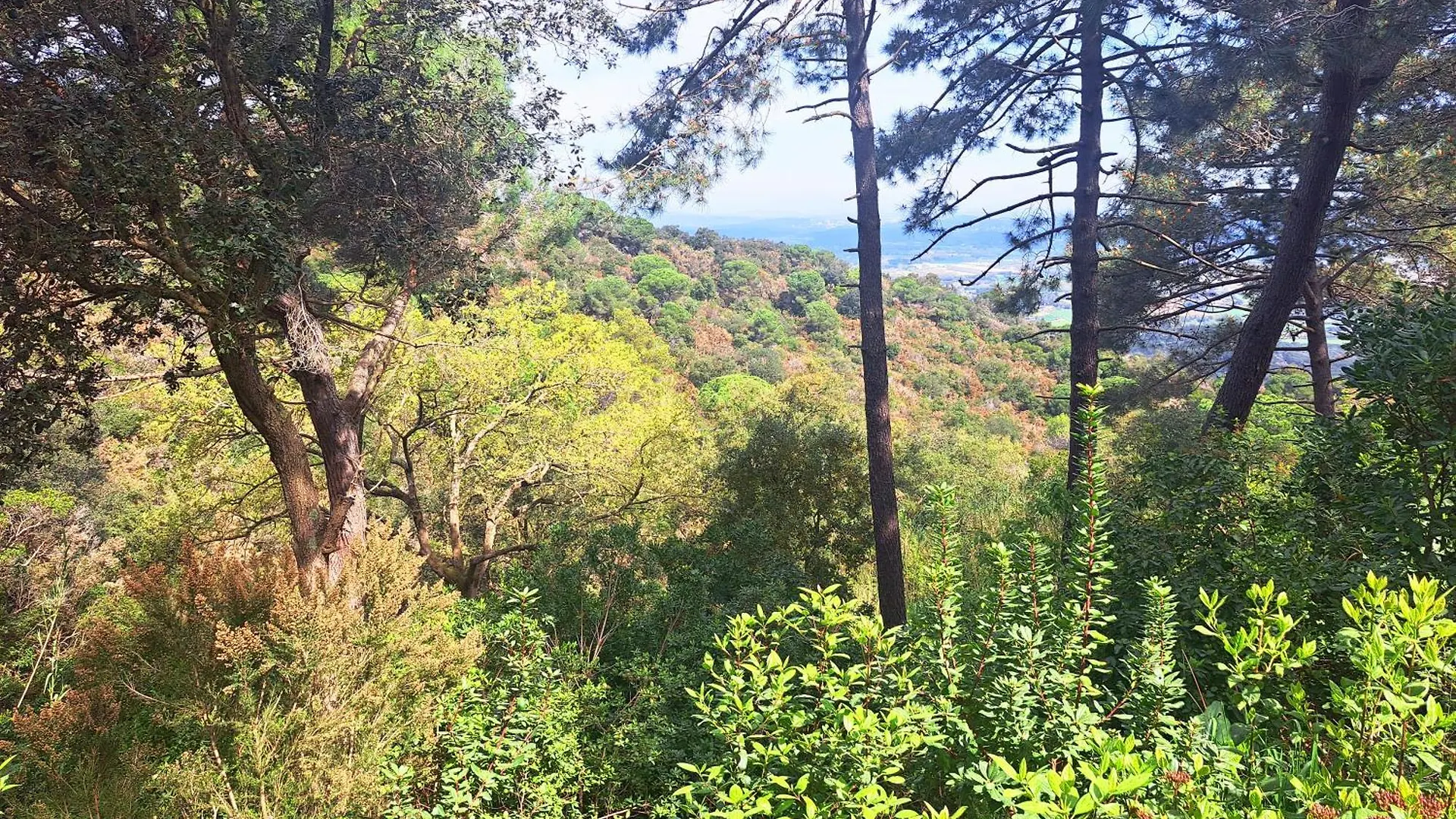 Semesterbostad Casa Eco En Palafolls Cerca De La Costa Brava Villa Spanien