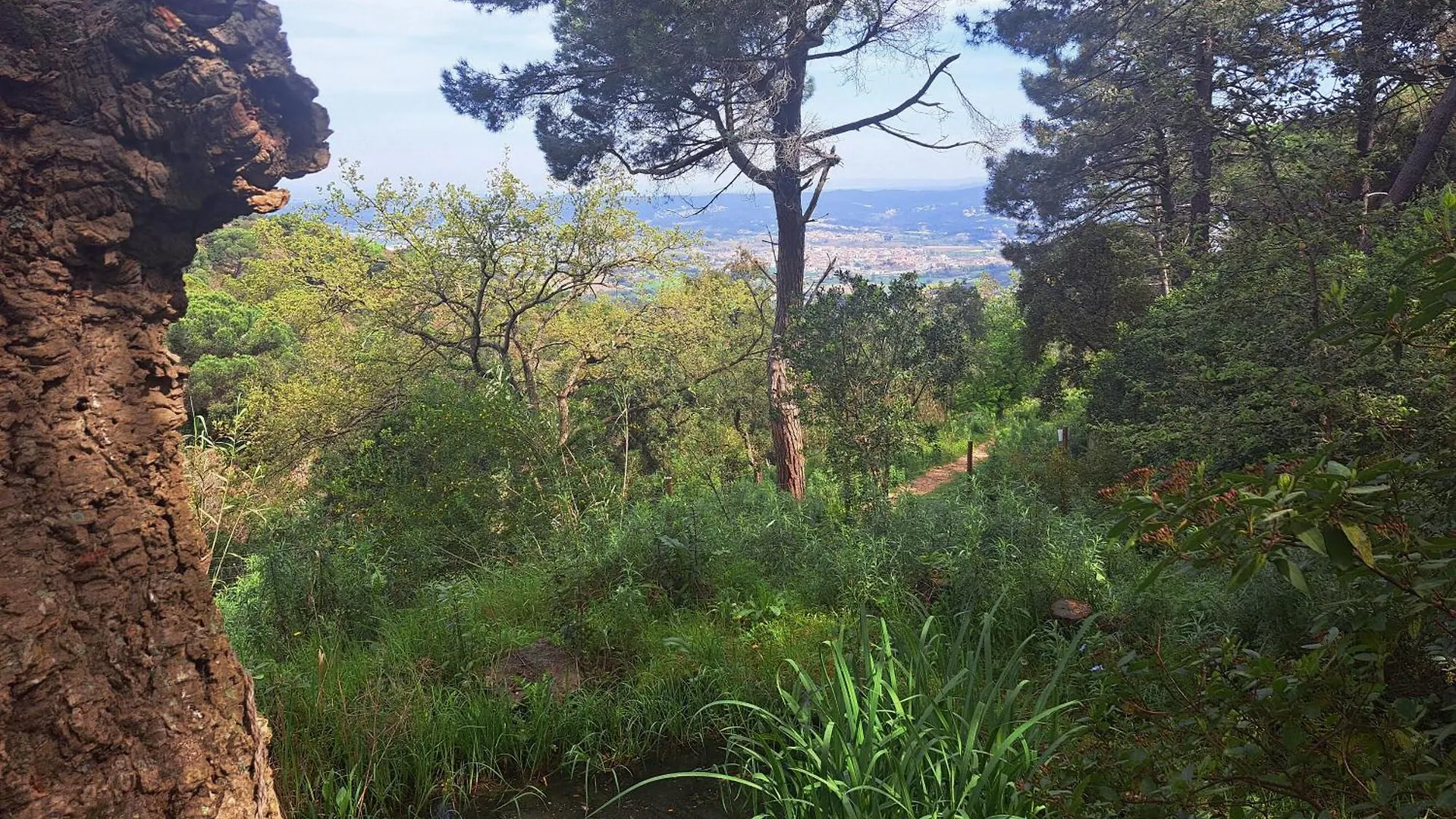 Casa Eco En Palafolls Cerca De La Costa Brava Villa Semesterbostad