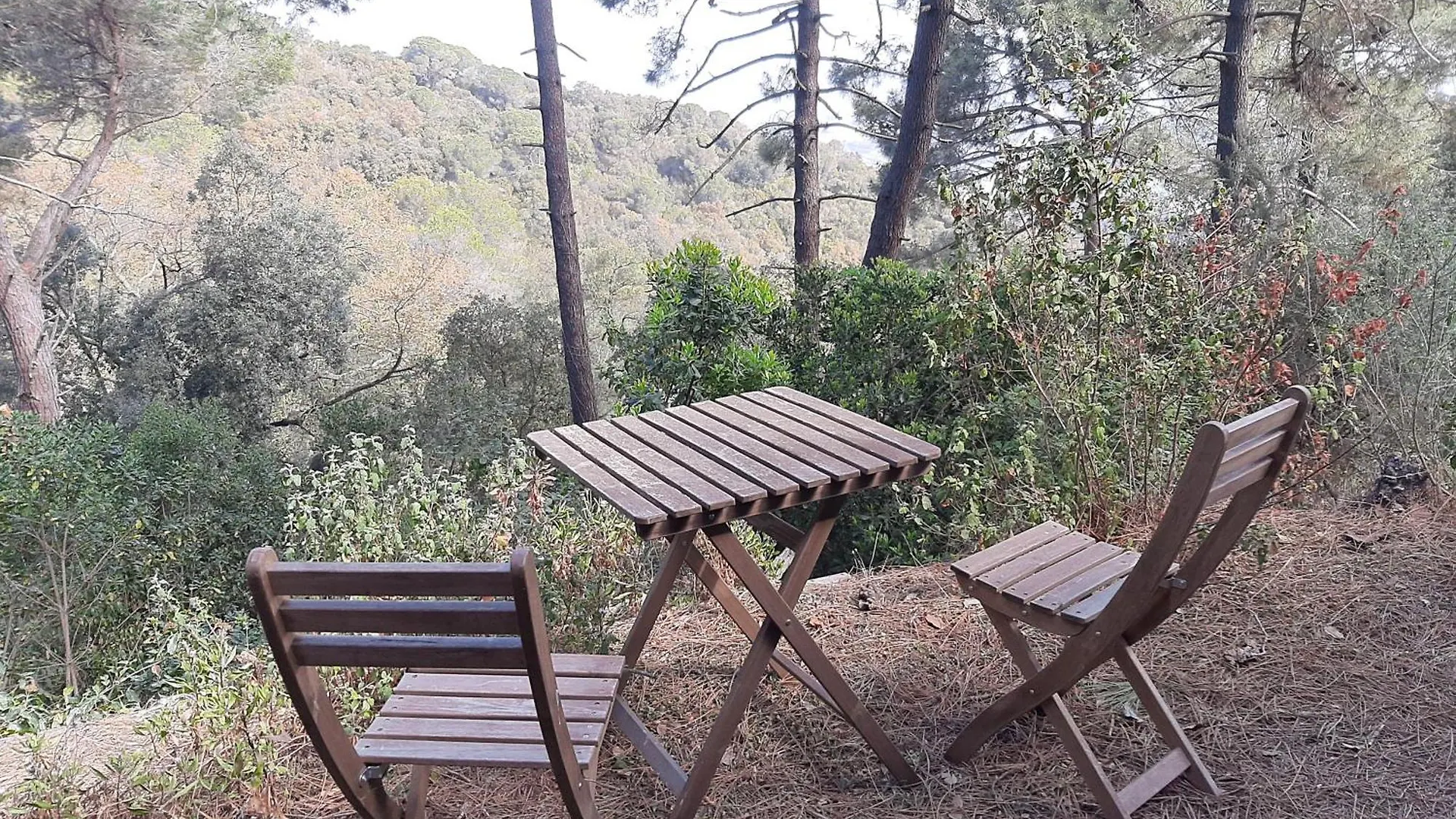 Casa Eco En Palafolls Cerca De La Costa Brava Villa